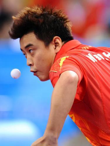 关于奥地利队绝杀日本队，王皓扛起全队的信息